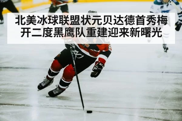 hockey player skating